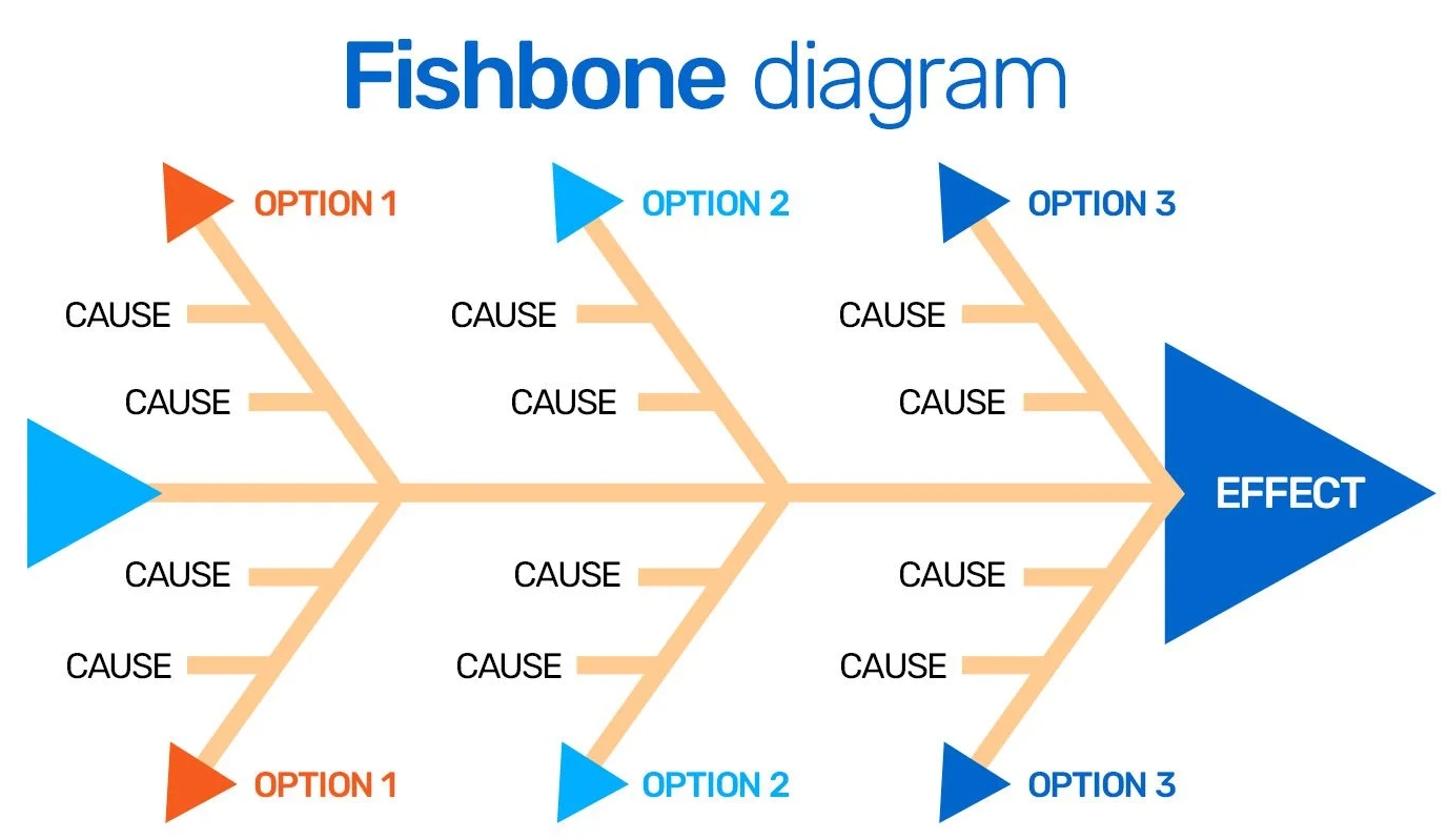 Fish-Bone Diagram