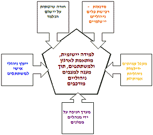 תרשים 1: מרכיבים עיקריים בתכנית כוללת לפיתוח מנהלים