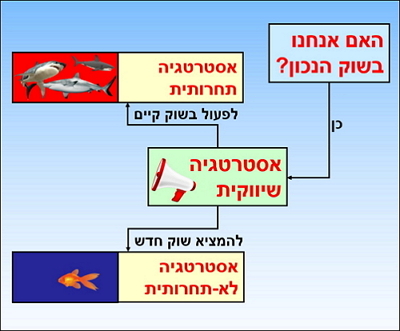 שני מסלולי אסטרטגיה שיווקית